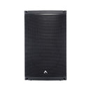 Axiom AX1012A Élément de réseau à courbure constante alimenté par CORE actif à 2 voies à 2 voies de 12 po - Noir