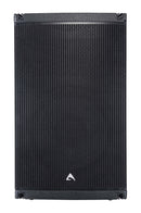 Axiom AX1012P Élément de réseau passif à 2 voies à courbure constante, 12 pouces, gamme complète