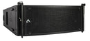 Axiom AX2065P Élément de réseau vertical passif à haut rendement - 2 x 6,5" (Noir)