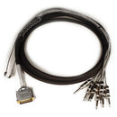Avid DB25-TS +4 dBu/-10 dBV Rembourré 12' DigiSnake