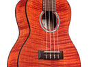 Cordoba 15CFM Concert Ukulele (Rose Red)  LIMITED QUANTITY
