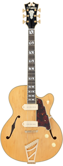 D'Angelico DAD59SHNGT Guitare électrique à corps creux (miel satiné)