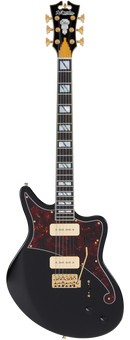 D'Angelico DADBEDSBKGTR Guitare électrique (Noir massif)