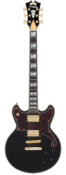 D'Angelico DADBRISBK2GS Guitare électrique (Noir massif)