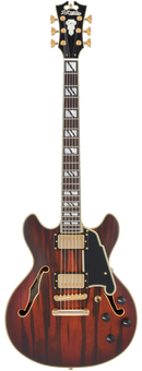 D'Angelico DADMINIDCSBBGS Guitare électrique semi-creuse (Satin Brown Burst)