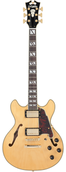 D'Angelico DADMINIDCSHLNGS Guitare électrique semi-creuse (Miel satiné)