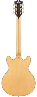 D'Angelico DADMINIDCSHLNGS Guitare électrique semi-creuse (Miel satiné)
