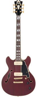 D'Angelico DADMINIDCSTWGS Guitare électrique semi-creuse (Satin Trans Wine)