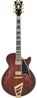 D'Angelico DADSSSBBGT Guitare électrique semi-creuse (Satin Brown Burst)