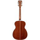 D'Angelico DAPOMITBAPS PREMIER TAMMANY Series - Guitare électrique acoustique Tammany Orchestra - Iced Tea Burst