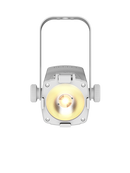 Chauvet DJ EVE-TF20X-W Luminaire d'accentuation LED (Blanc)