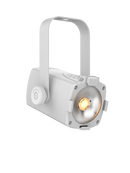 Chauvet DJ EVE-TF20X-W Luminaire d'accentuation LED (Blanc)