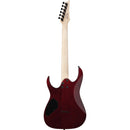 Ibanez GRGR221PAAQB Gio RG Series Electric Guitar (Aqua Burst)