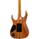 Ibanez RGT1220PBABS RG Series Electric Guitar (Antique Brown Stained)