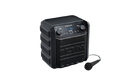 ION Audio Stadium Wireless Rechargeable Speaker System
