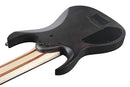 Ibanez RG9PBTGF Axe Design Lab RG9PB Guitare électrique 9 cordes (Gris transparent plat)