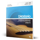 D'Addario EPBB170 Phosphor Bronze Acoustic Long Scale 45-100