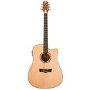 Peavey DELTA-WOODS DW-2 CE Guitare électronique acoustique à coupe solide avec étui