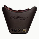 L.R. Baggs Session VTC Acoustic Guitar Pickup + Preamp