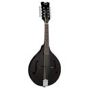 Mandoline Dean TNAE CBK Tennessee avec micro