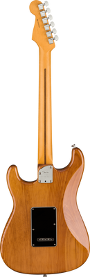 Fender AMERICAN PROFESSIONAL II STRATOCASTER Electric Guitar (Roasted Pine)
