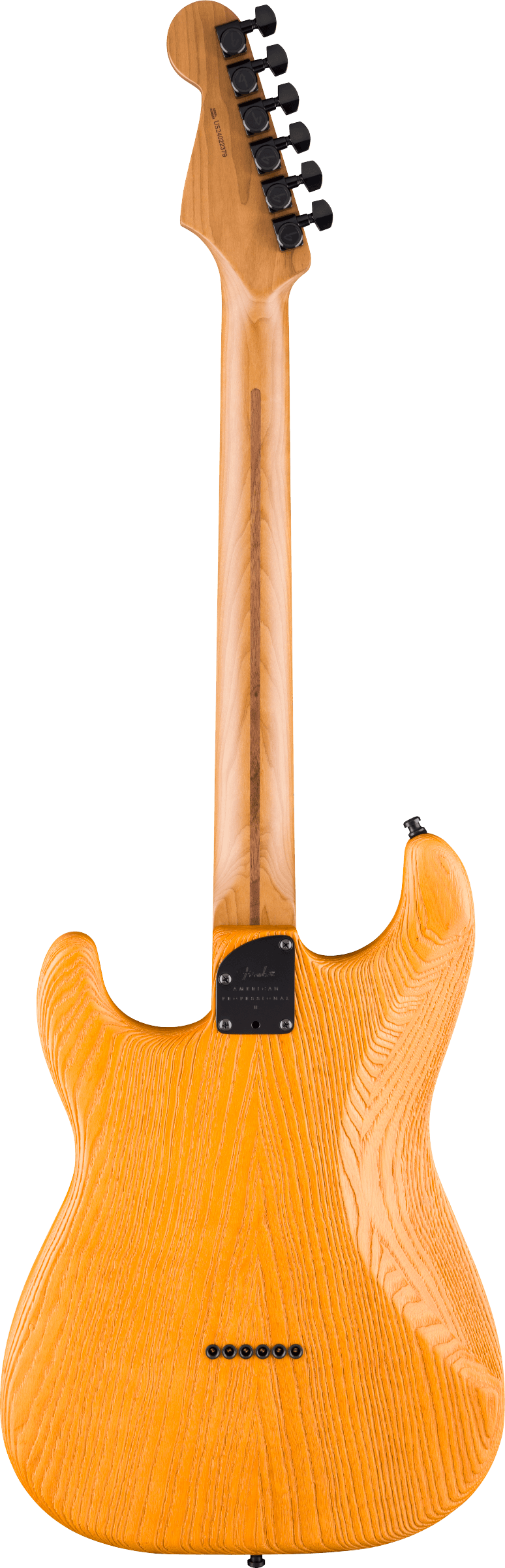 Fender LIMITED EDITION AMERICAN PROFESSIONAL II STRATOCASTER HSS HT Electric Guitar (Aged Natural)