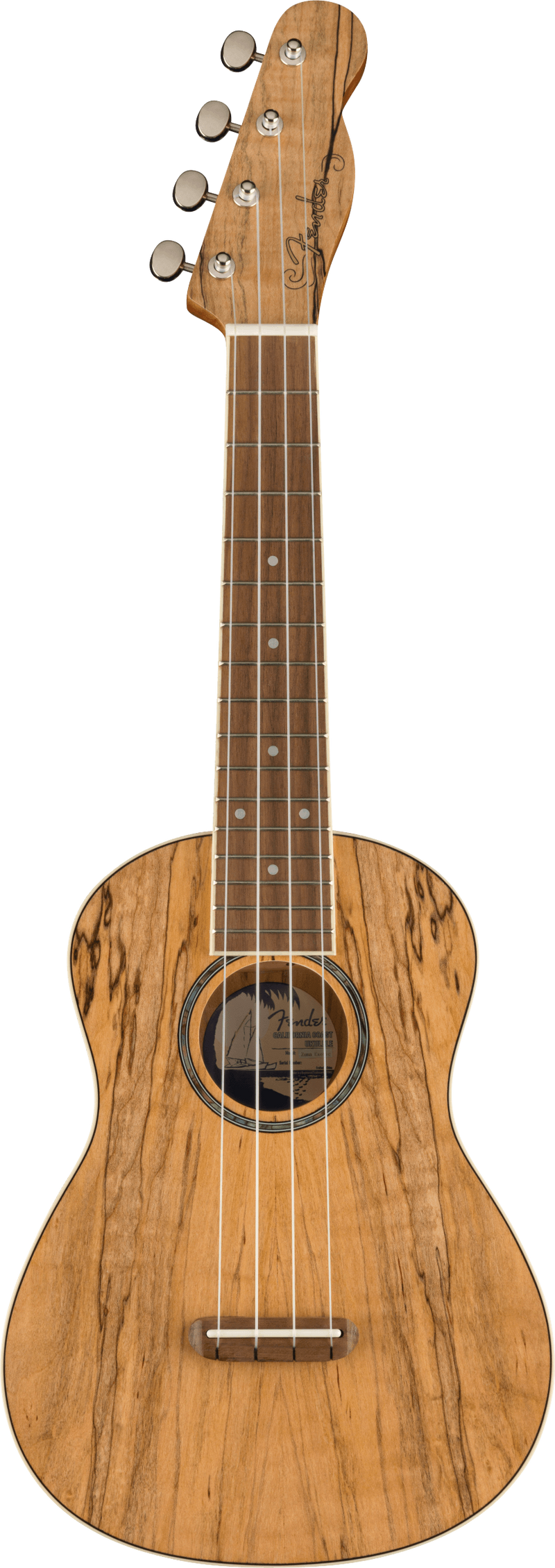 Fender ZUMA EXOTIC Concert Ukulele (Spalted Maple)