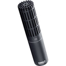 DPA Microphones 2011C Twin Diaphragm Cardioid Microphone (Compact)