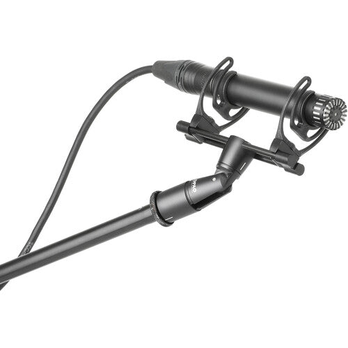 DPA Microphones 2012 Compact Cardioid Condenser Microphone