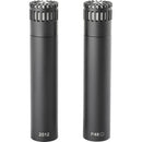 DPA Microphones ST2012 Compact Cardioid Condenser Microphone (Stereo Pair)