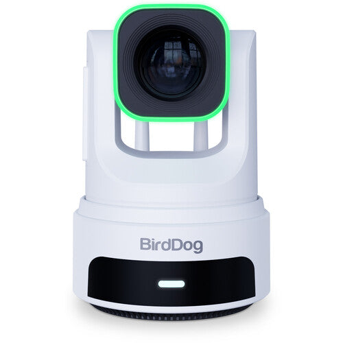 BirdDog BDX4UW 4K PTZ Camera with AI Tracking (White)