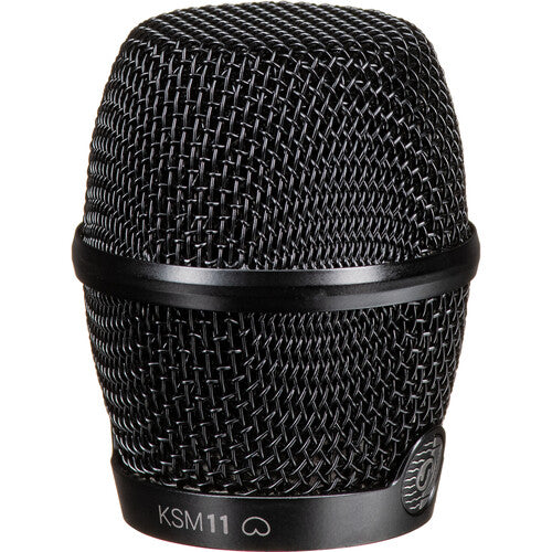Shure RPM261 Grille For KSM11 Microphone (Black)