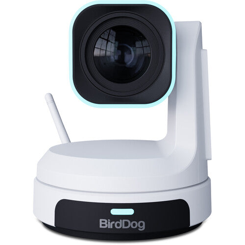 BirdDog BDX1-30W PTZ Camera With 30x Optical Zoom (White)