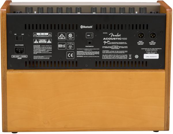 Fender ACOUSTIC 100 Acoustic Guitar Amplifier - 120V