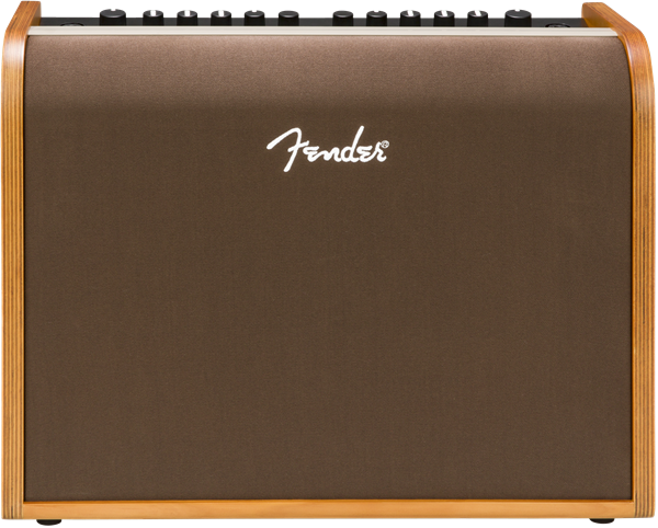 Fender ACOUSTIC 100 Acoustic Guitar Amplifier - 120V