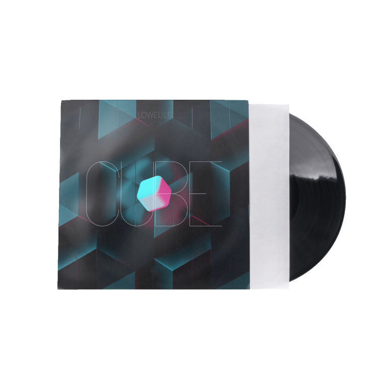 Reloop PREMIUM-VINYL-INNER-SLEEVE Vinyl Polylined Inner Sleeves - 12"