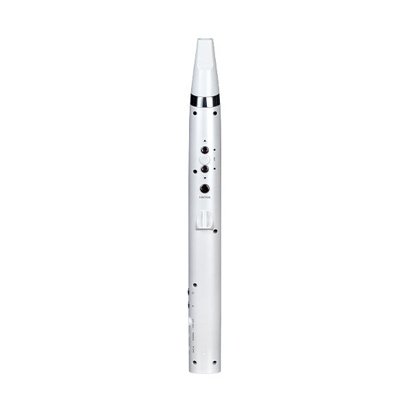 Mooer WI100 Digital Woodwind Instrument
