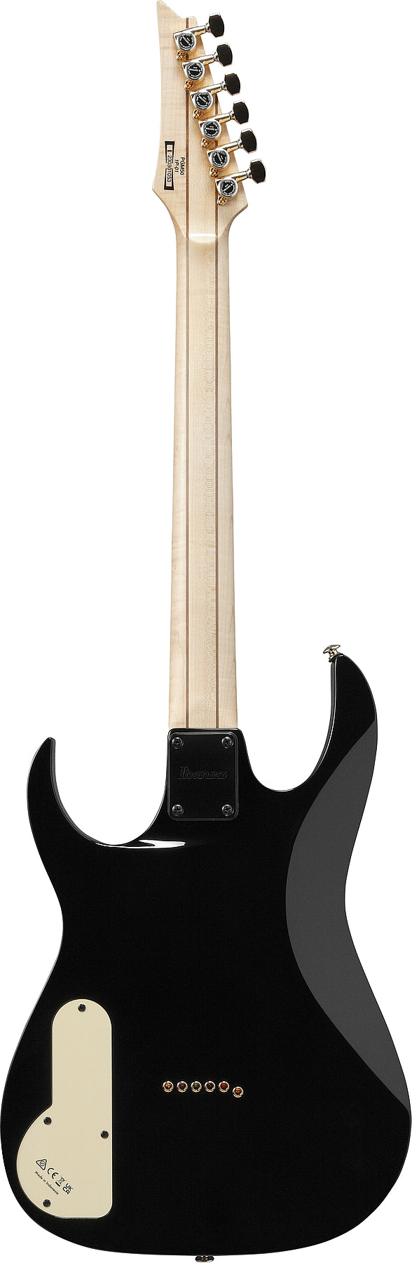 Ibanez PGM50BK Paul Gilbert Signature Electric Guitar (noir)