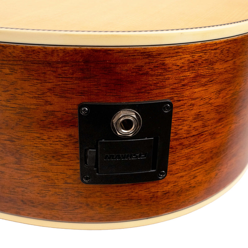 Gold Tone GT-DREAD-NA Acoustic Electric Guitar (Natural)