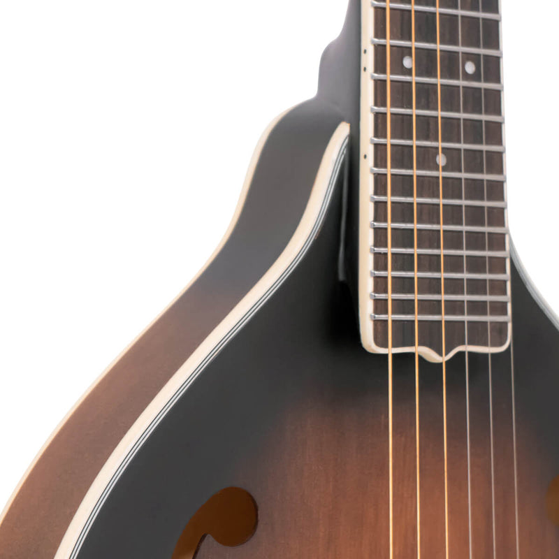 Gold Tone A-6 A-Style Mando-Guitar (Tobacco Sunburst Satin)
