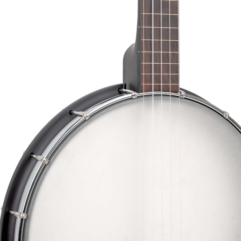 Gold Tone AC-12FL Fretless Acoustic Composite 5-string Open-back Banjo - 12"