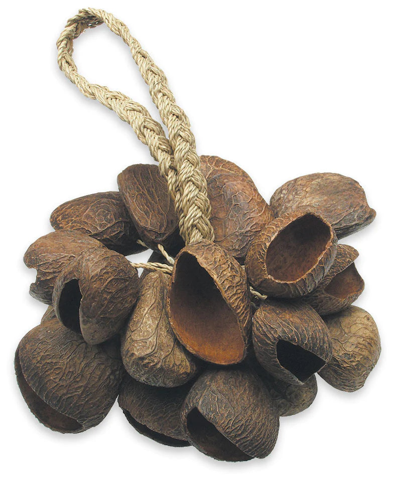 Toca T-SS Seed Shell Shaker