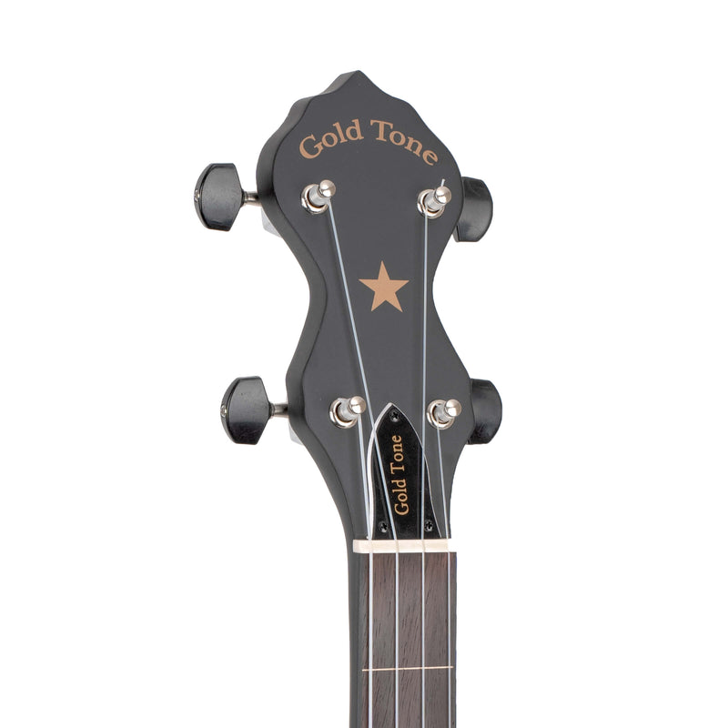Gold Tone AC-12FL Fretless Acoustic Composite 5-string Open-back Banjo - 12"