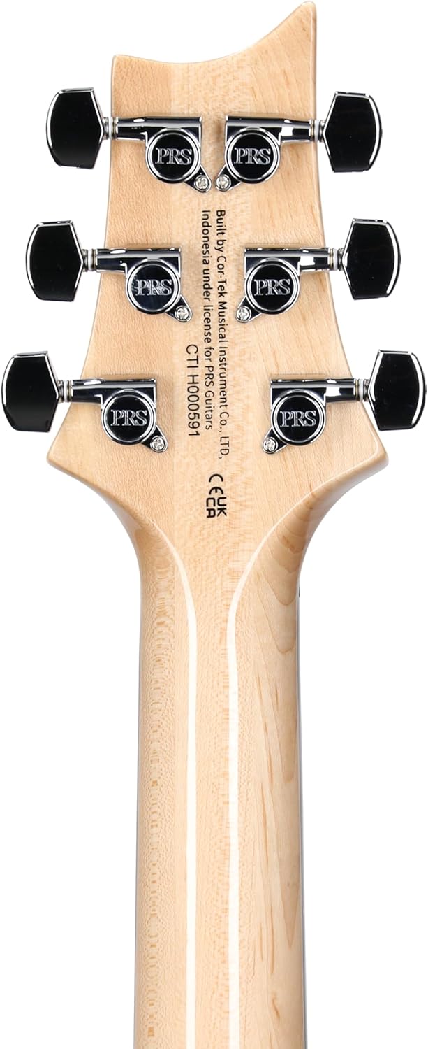 PRS SE CUSTOM 24 Electric Guitar (Blue Matteo, Natural Back)