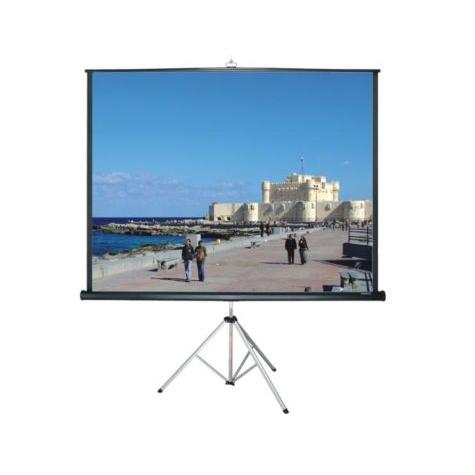 Grandview GV-PTH100 4:3 Tripod Portable Screen - 100"