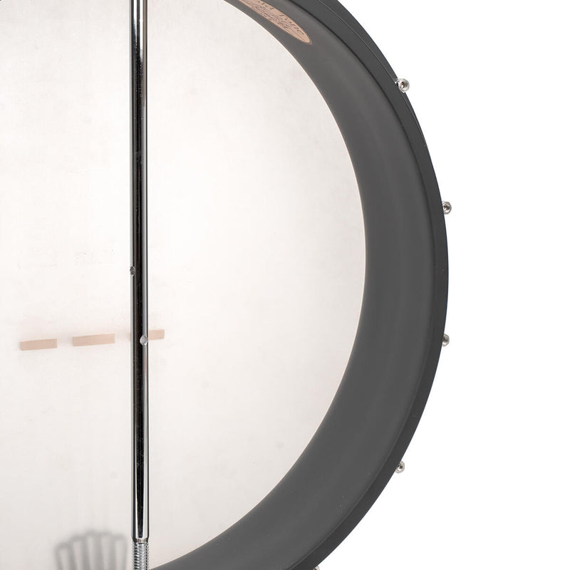 Gold Tone AC-12FL Fretless Acoustic Composite 5-string Open-back Banjo - 12"