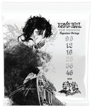 Ernie Ball 9635EB Tim Henson Signature Accessory Bundle Kit