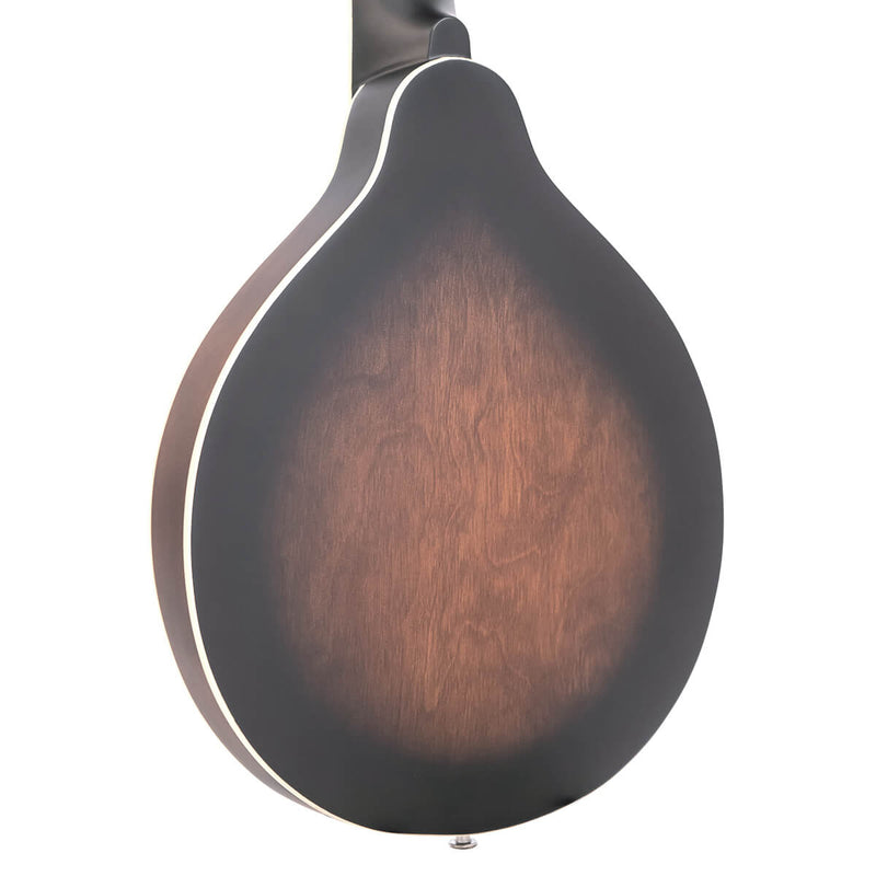 Gold Tone A-6 A-Style Mando-Guitar (Tobacco Sunburst Satin)