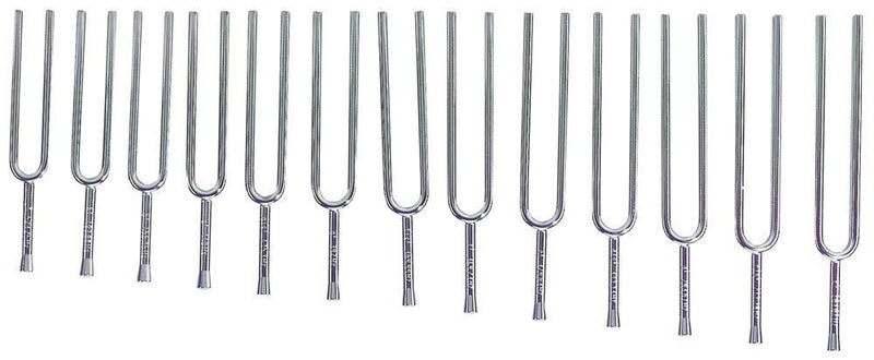 Wittner 924440-13 Jeu de 13 diapasons