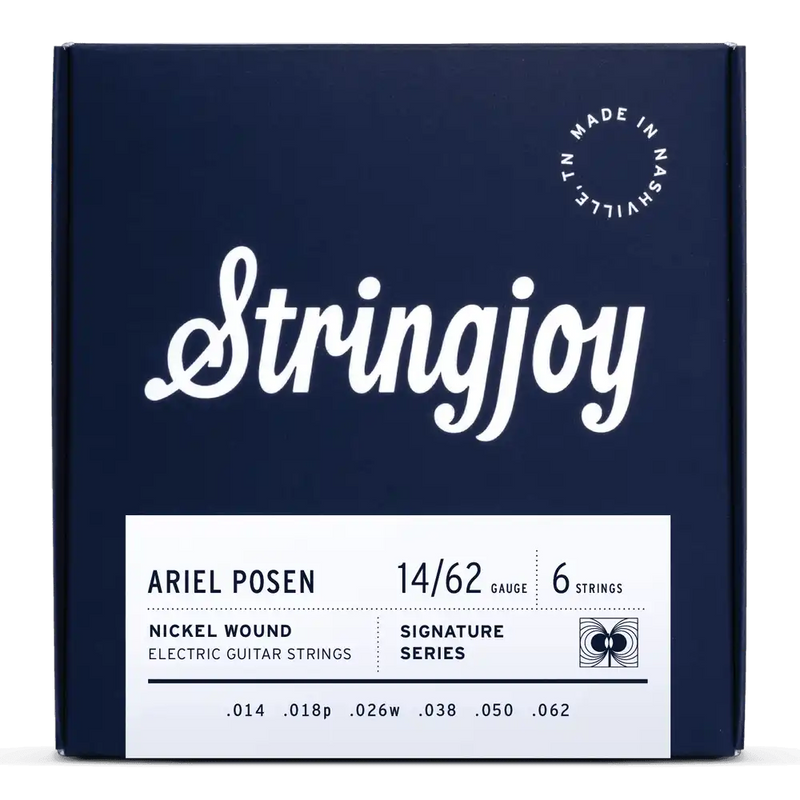 Stringsjoy SJ-ARTAP Ariel Posen Artist Series Signatures Electric Guitar Strings - .014-.062